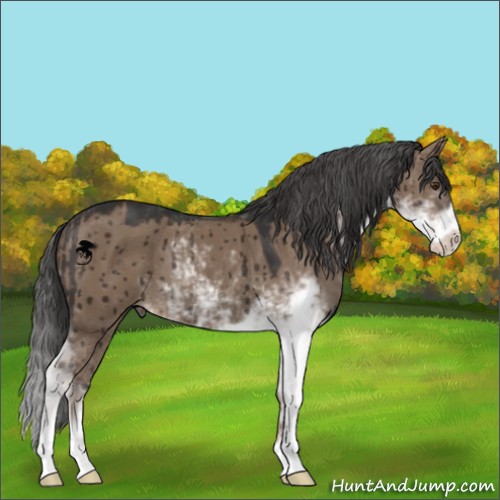 Horse Color:Liver Red Dun Sabino Brindle 
