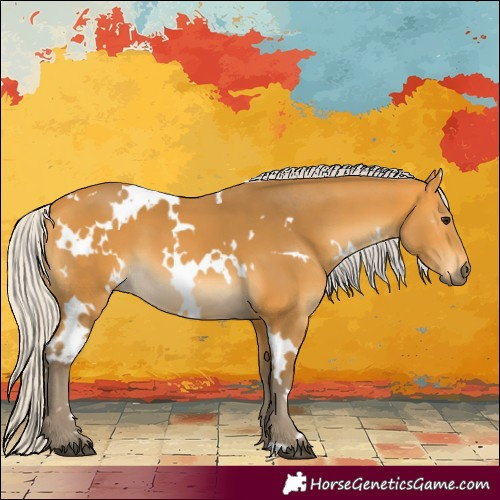 Horse Color:White Spotted Silver Buckskin