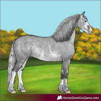 Horse Color:Silver Grullo Chinchilla Sabino 