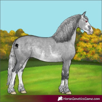 Horse Color:Silver Grullo Chinchilla Sabino 