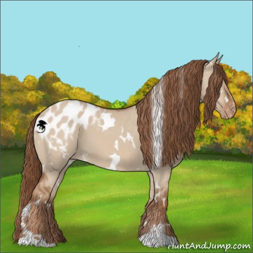 Horse Color:White Spotted Red Dun Appaloosa 