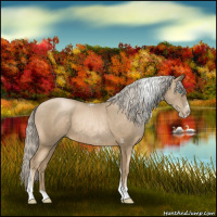 Horse Color:Chocolate Palomino Pearl Tobiano Frame  and Chocolate Palomino Pearl Tobiano Frame 