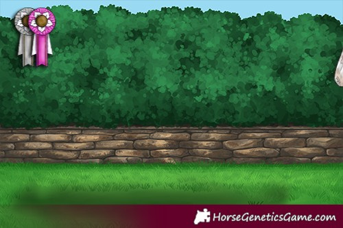 Horse Color:Silver Black Sabino 