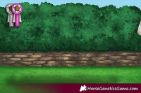 Horse Color:Silver Black Sabino 