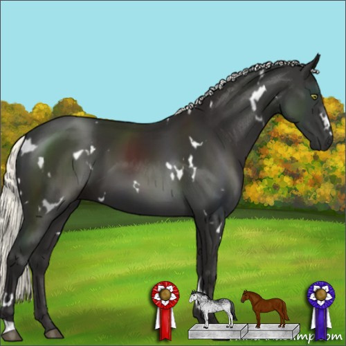 Horse Color:White Spotted Liver Chestnut Mushroom 