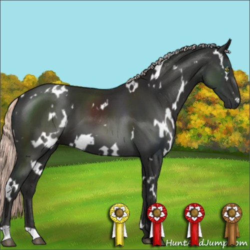 Horse Color:White Spotted Liver Chestnut Mushroom 