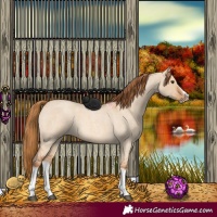 Horse Color:Red Dun Roan Splash Frame Rabicano 