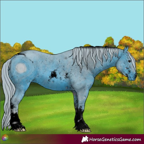 Horse Color:ERROR: UNKNOWN ANOMALY