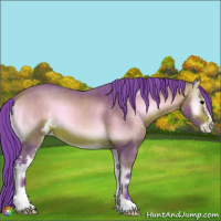 Horse Color:Watercolor Bay Onyx Sabino