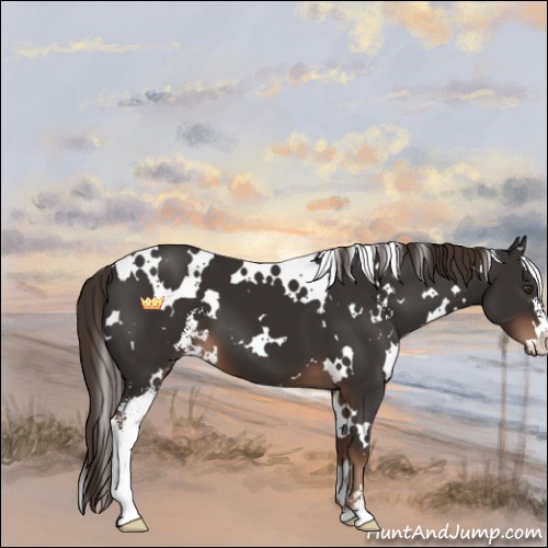 Horse Color:White Spotted Liver Chestnut Sabino 