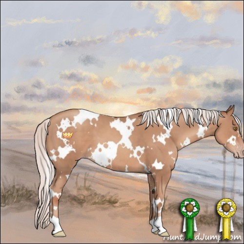 Horse Color:White Spotted Silver Classic Champagne 
