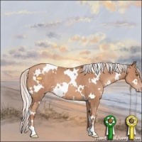 Horse Color:White Spotted Silver Classic Champagne 