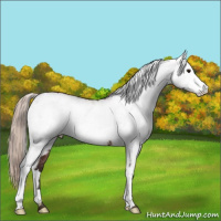 Horse Color:White Spotted Silver Brown