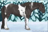 Horse Color:Smoky Black Tobiano 