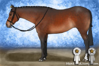 Horse Color:Bay Sabino Rabicano
