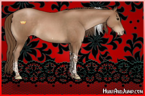 Horse Color:Brown Pearl Tobiano 