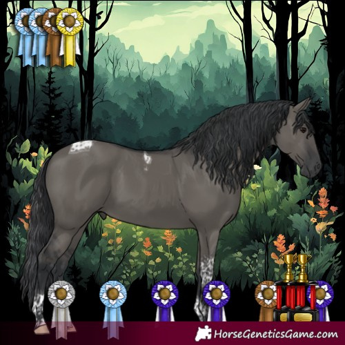 Horse Color:Grullo Tobiano 