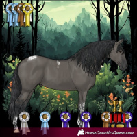 Horse Color:Grullo Tobiano
