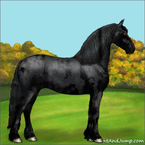 Horse Color:Void White Spotted Black Chinchilla Splash 