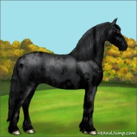 Horse Color:Void White Spotted Black Chinchilla Splash 