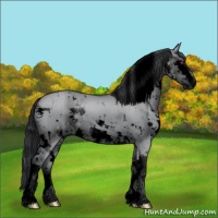 Horse Color:Void White Spotted Grullo Chinchilla Splash 