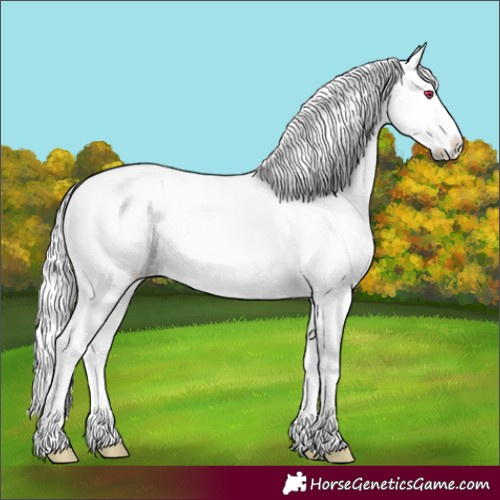 Horse Color:White Spotted Red Dun Chinchilla Frame 