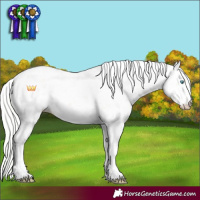 Horse Color:Silver Perlino Dun Sabino 