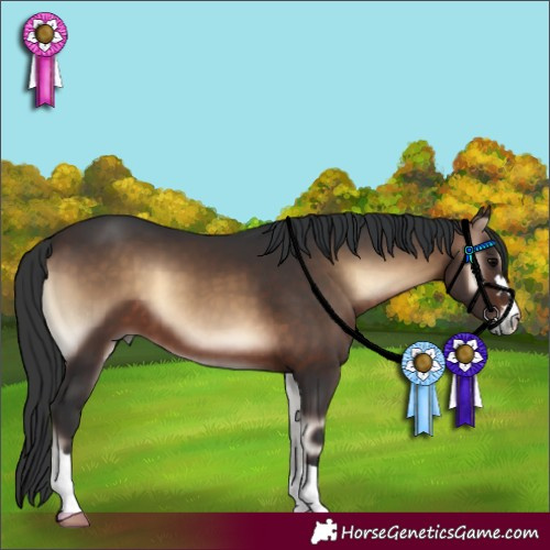 Horse Color:Brown Onyx 