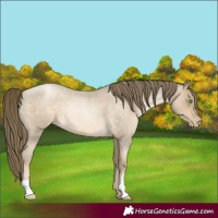 Horse Color:Smoky Blue Roan Pearl 