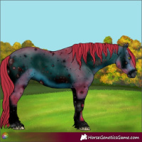 Horse Color:ERROR: UNKNOWN ANOMALY