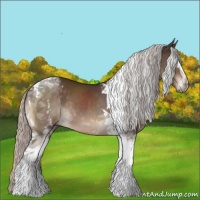 Horse Color:White Spotted Silver Brown Tobiano Rabicano 