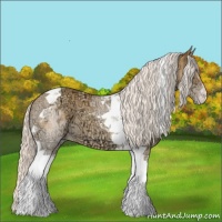Horse Color:Silver Sable Cream Champagne Ice Tobiano 