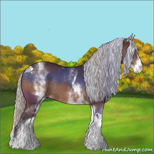 Horse Color:White Spotted Silver Bay Tobiano Rabicano