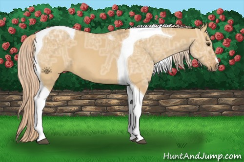 Horse Color:Palomino Ice Dun Tobiano