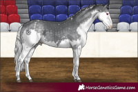Horse Color:White Spotted Silver Black Chinchilla Splash 