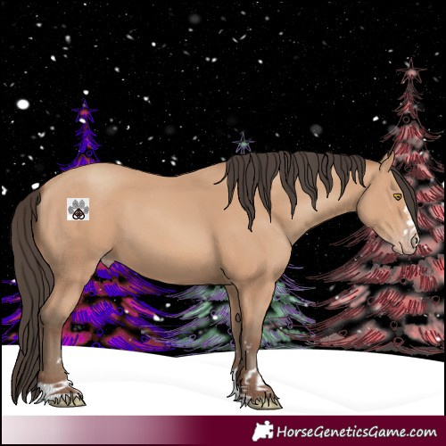 Horse Color:Amber Champagne 