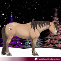 Horse Color:Amber Champagne 