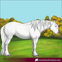 Horse Color:Silver Perlino Dun 