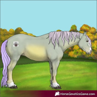 Horse Color:Watercolor Chestnut 