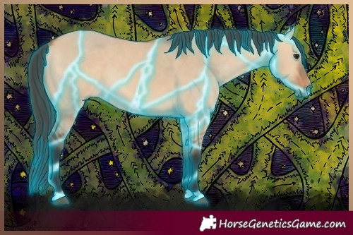 Horse Color:Thunderstruck Bay Dun