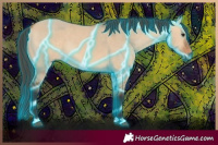 Horse Color:Thunderstruck Bay Dun 