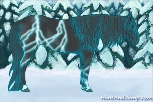 Horse Color:Thunderstruck Black 