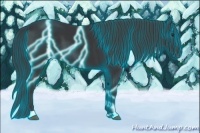 Horse Color:Thunderstruck Black 