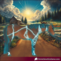 Horse Color:Thunderstruck Bay 