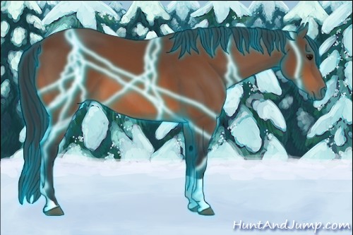 Horse Color:Thunderstruck Bay Tobiano 