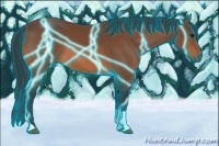 Horse Color:Thunderstruck Bay Tobiano 