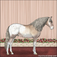 Horse Color:Red Onyx Pearl Mushroom Appaloosa 