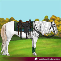 Horse Color:Red Onyx Pearl Appaloosa 