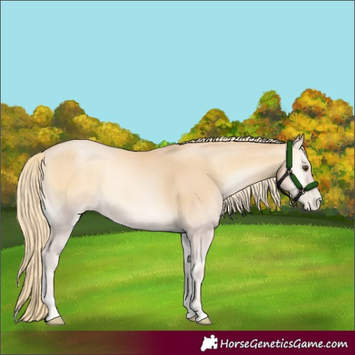 Horse Color:Red Onyx Pearl Mushroom 