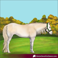 Horse Color:Red Onyx Pearl Mushroom 